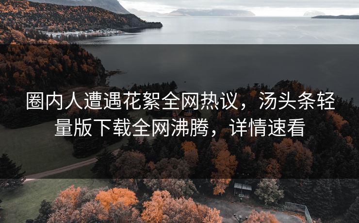 圈内人遭遇花絮全网热议，汤头条轻量版下载全网沸腾，详情速看
