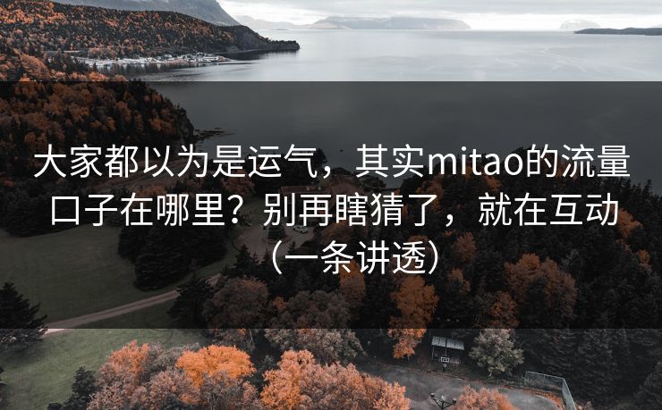大家都以为是运气，其实mitao的流量口子在哪里？别再瞎猜了，就在互动（一条讲透）